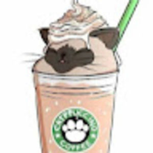 Meet your Posher, Vanilla cat :3